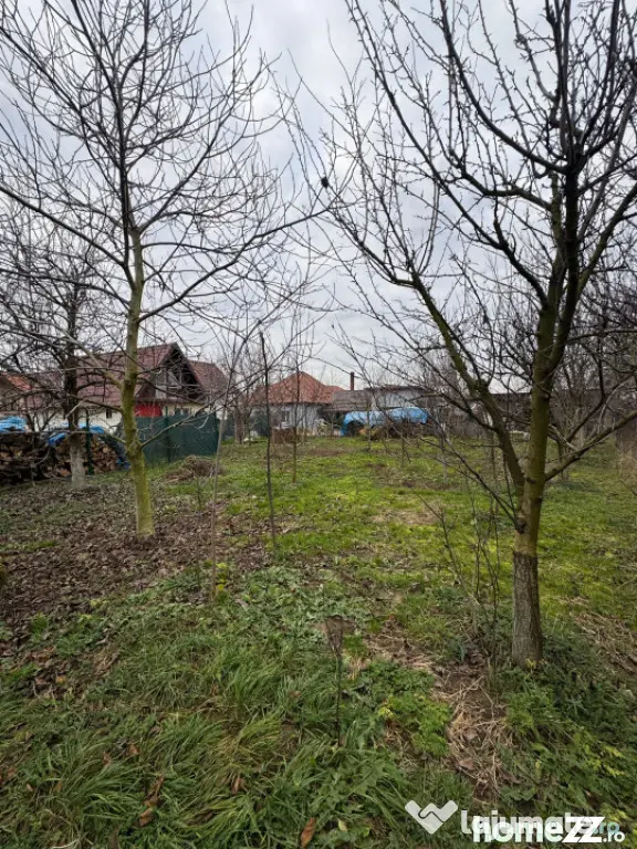 Casă renovată cu teren 600 mp, garaj și anexe – Posta, - Posta (Maramures)