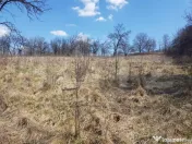 Teren intravilan, cu casa, 13800 mp, Suceagu 