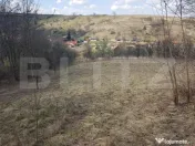 Teren intravilan, cu casa, 13800 mp, Suceagu 