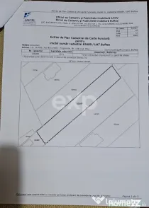 Teren Intravilan Constructii Buftea Central