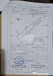 Teren Intravilan Constructii Buftea Central 