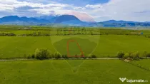 Teren 3000mp de vânzare în Râșnov / Pănicel