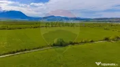 Teren 3000mp de vânzare în Râșnov / Pănicel 