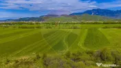 Teren 3000mp de vânzare în Râșnov / Pănicel 
