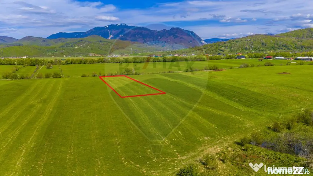Teren 3000mp de vânzare în Râșnov / Pănicel