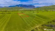 Teren 3000mp de vânzare în Râșnov / Pănicel 