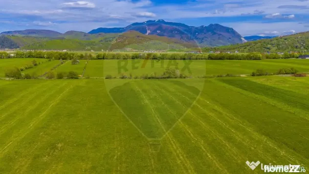 Teren 3000mp de vânzare în Râșnov / Pănicel