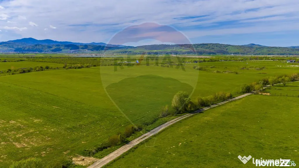 Teren 3000mp de vânzare în Râșnov / Pănicel