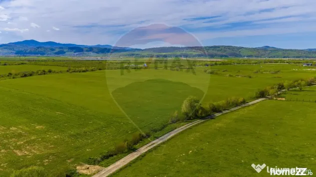 Teren 3000mp de vânzare în Râșnov / Pănicel