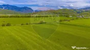 Teren 3000mp de vânzare în Râșnov / Pănicel 