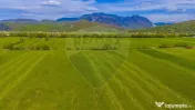Teren 3000mp de vânzare în Râșnov / Pănicel 