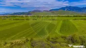 Teren 3000mp de vânzare în Râșnov / Pănicel 