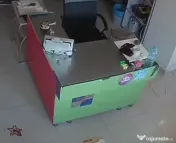 Rafturi și vitrine 