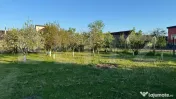 Teren intravilan de vanzare, 1500 mp - Bistrita 