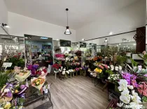 Investitie - Spatiu comercial ultracentral, inchiriat cu 900