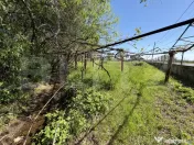 Teren 2000 mp și casa bătrânească, zona Pestisani 