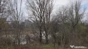 PIPERA LAC -Teren intravilan-premium 