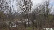 PIPERA LAC -Teren intravilan-premium