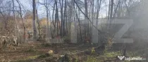 Teren de vânzare | Zonă montană Runcu | 3.463 mp | Privel