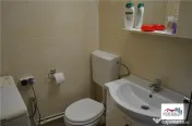 Apartament 1 Camera Mobilat si Utilat de Zona Dambu Pietros 