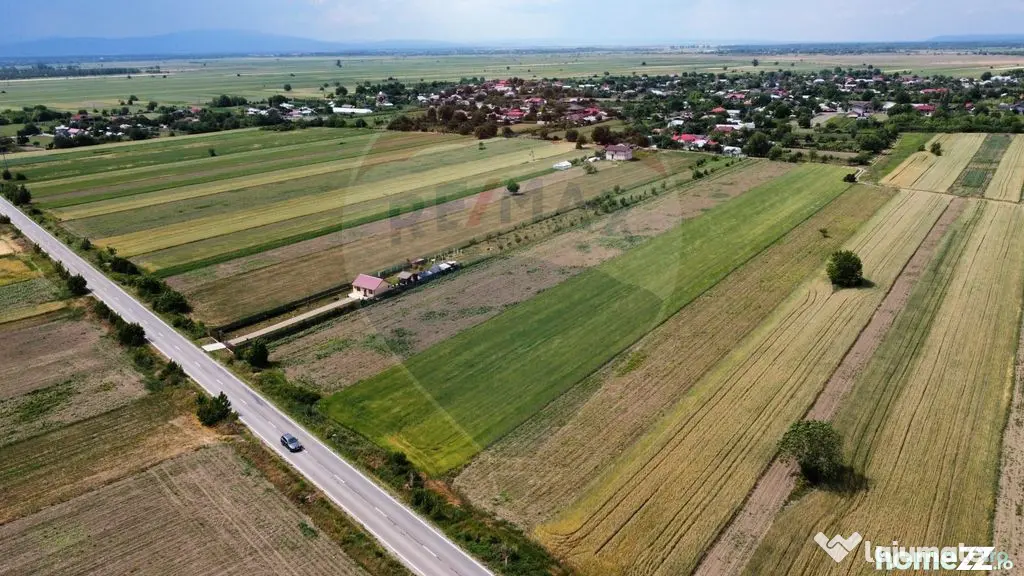 Teren intravilan 6000mp Biliesti / DJ 204D