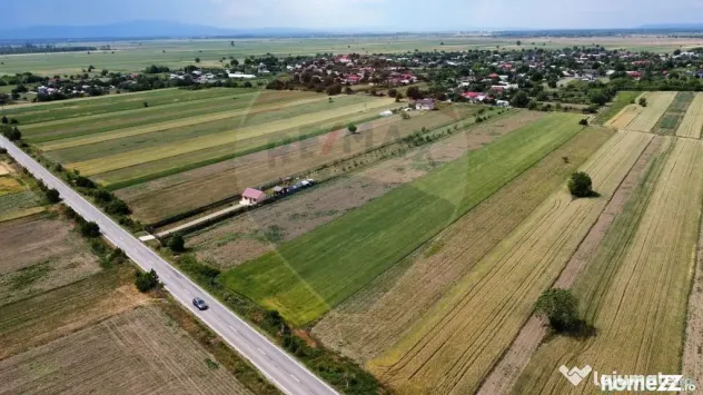 Teren intravilan 6000mp Biliesti / DJ 204D