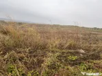 35euro/mp! Valea Lupului! Teren intravilan,28m l,oportunitat