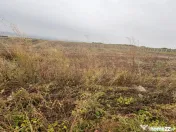 35euro/mp! Valea Lupului! Teren intravilan,28m l,oportunitat