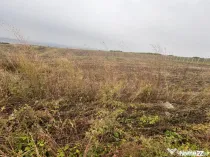 35euro/mp! Valea Lupului! Teren intravilan,28m l,oportunitat