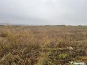 35euro/mp! Valea Lupului! Teren intravilan,28m l,oportunitat
