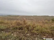 35euro/mp! Valea Lupului! Teren intravilan,28m l,oportunitat