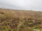 35euro/mp! Valea Lupului! Teren intravilan,28m l,oportunitat