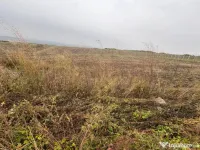 35euro/mp! Valea Lupului! Teren intravilan,28m l,oportunitat 