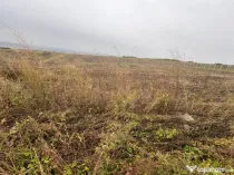 35euro/mp! Valea Lupului! Teren intravilan,28m l,oportunitat
