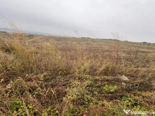 35euro/mp! Valea Lupului! Teren intravilan,28m l,oportunitat
