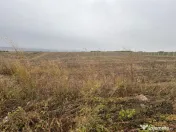 35euro/mp! Valea Lupului! Teren intravilan,28m l,oportunitat