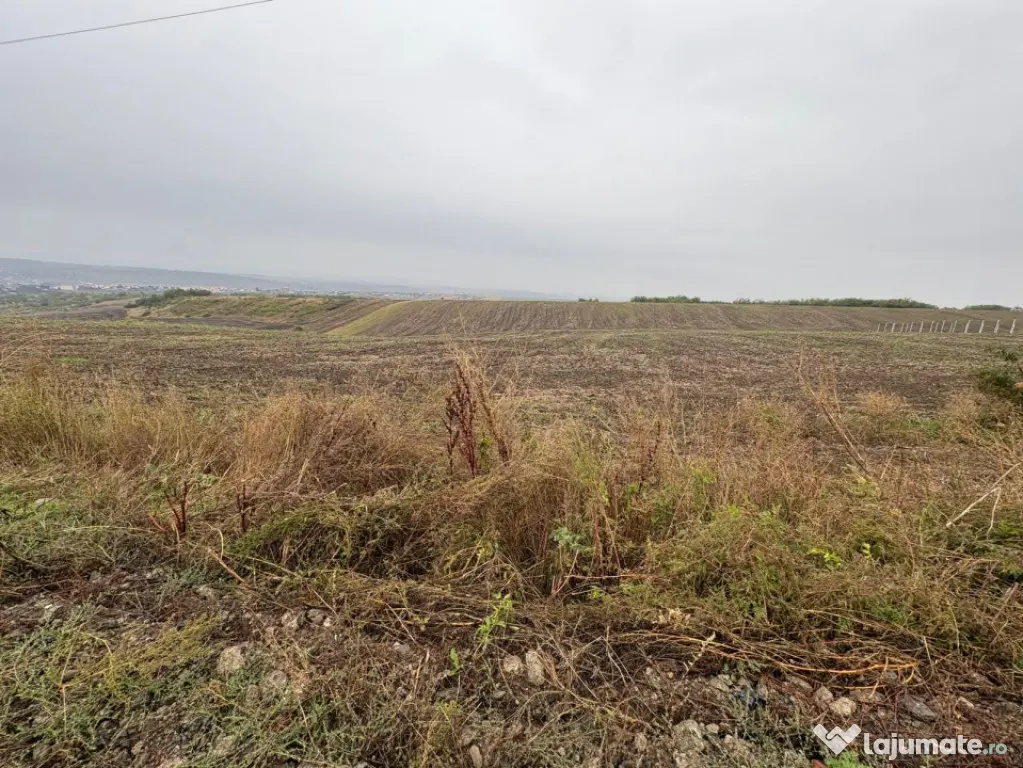 35euro/mp! Valea Lupului! Teren intravilan,28m l,oportunitat