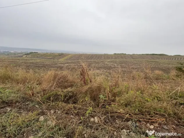 35euro/mp! Valea Lupului! Teren intravilan,28m l,oportunitat