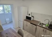 Faleza Nord Reyna apartament 2 camere renovat termen lung 