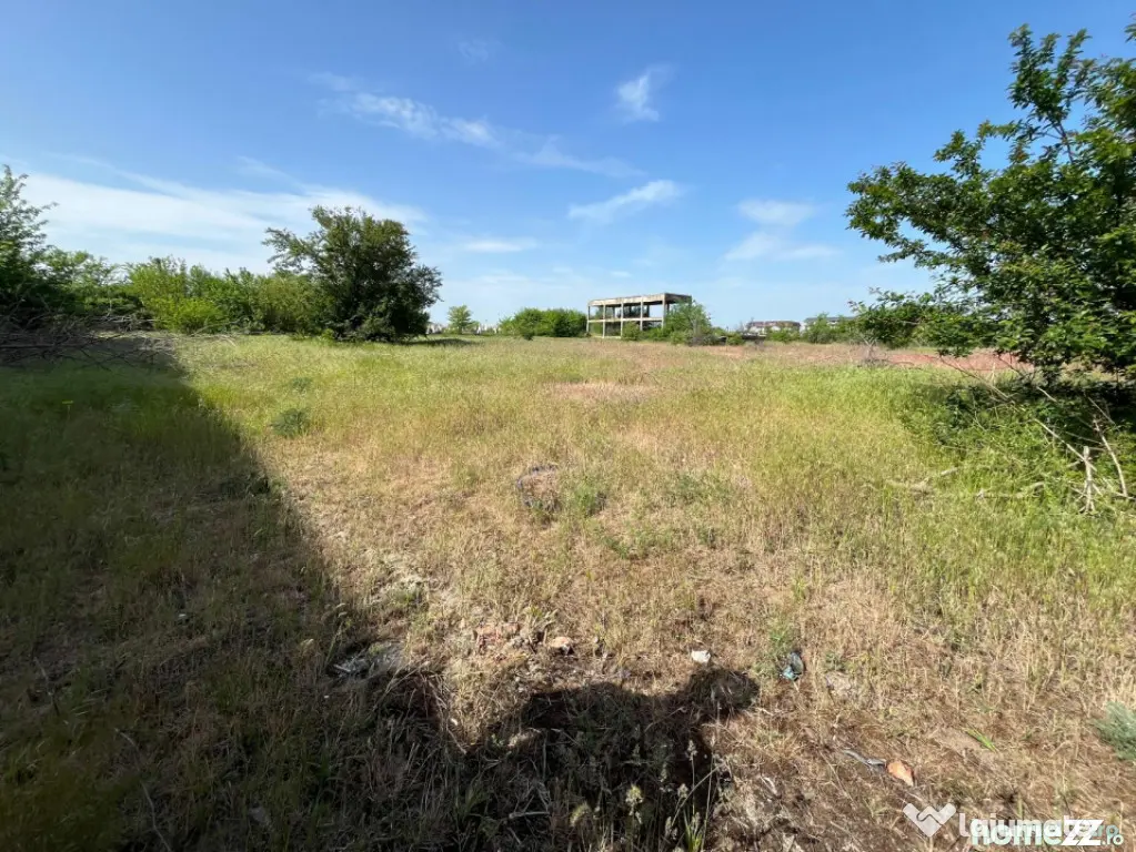 Teren intravilan 13.000 mp, ideal hale - investiție comerci