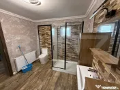 Casa pe parter+casa de oaspeti, 3000 mp teren, zona Cotofeni 
