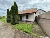 Casa pe parter+casa de oaspeti, 3000 mp teren, zona Cotofeni 