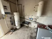 Casa pe parter+casa de oaspeti, 3000 mp teren, zona Cotofeni 