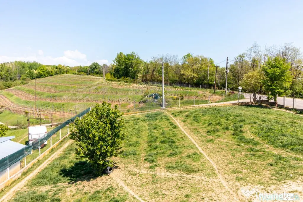 Teren 1.018 la 15 min de Ploiești | premium | zona dealuri