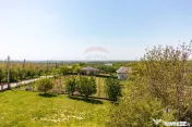 Teren 1.018 la 15 min de Ploiești | premium | zona dealuri