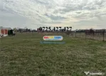 De teren intravilan Domnesti, Intrarea Albastrelelor,
