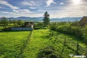 FILM! Casa cu sura, pivnita, balta cu pesti, 2.280 mp teren 