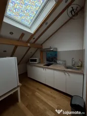 Studio - Faleza Nord - Termen Lung 