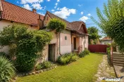 FILM!Doua case traditionale,pe domeniu cu peste 5.000mp tere 