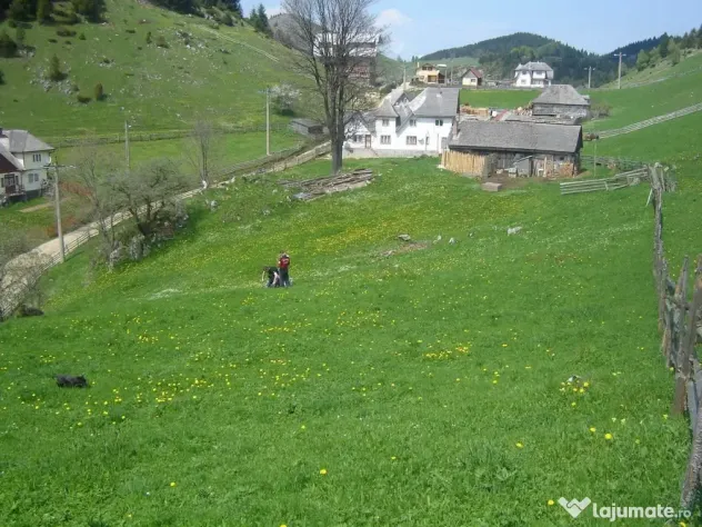 Teren intravilan superb, cu priveliște și utilități